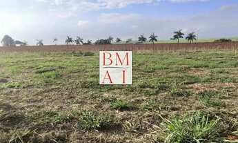 Imagem 5: TERRENO PARA VENDA NO BAIRRO CARDEAL, LOCALIZADO NA CIDADE DE ELIAS FAUSTO / SP
