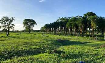 Imagem 6: Fazenda à Venda em Israelândia-GO com 90 Alqueires Dupla Aptidão