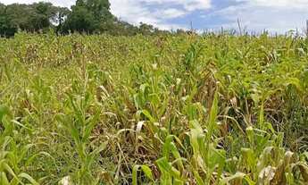 Imagem: Antecipe-se ao mercado e invista com vantagem