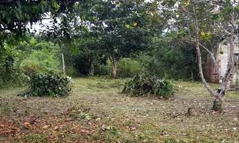 Imagem 4: Vendo Terreno 10x25