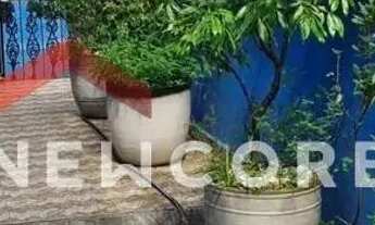 Imagem 6: Sobrado em Rua Braço da Cruz - Cidade Patriarca - São Paulo/SP