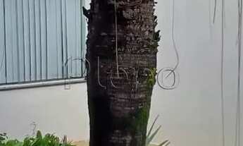 Imagem 5: Sobrado à venda em Salto, Loteamento Terras de São Pedro e São Paulo, com 3 quartos, com 2