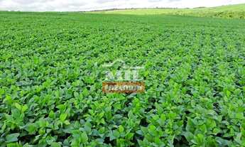 Imagem 3: Fazenda 33,5 alqueires (161 hectares) Ipameri - GO