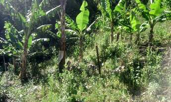 Imagem: Sítio a venda