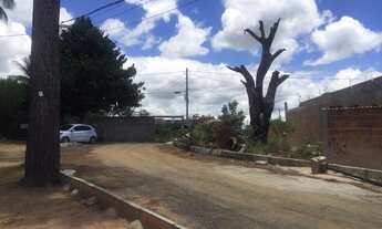 Imagem 2: Lote em boca da mata - Próximo ao residencial franco gilbert