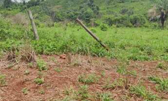 Imagem 2: Fazenda para Engorda de Boi no Sul do Pará