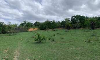 Imagem 3: Chácaras de 20.000m² com nascente, Jaboticatubas(Temos varias opções)