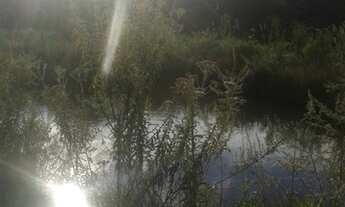 Imagem 5: Excelente Chácara com 3.500 m2 170.000.00 Campo Largo da Roseira