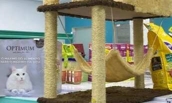 Imagem 4: Pet shop a venda