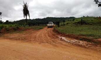 Imagem 2: Venda Fazenda-153 alqueires-Casa-Pasto-Contriguaçu-Mato Grosso