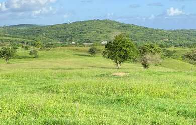 Imagem 7: Vendo fazenda em Ipuaçu