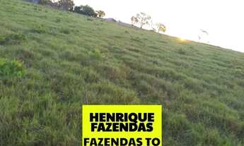 Imagem 6: Fazenda 30 alqueires região de Goianorte