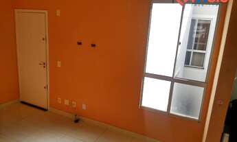 Imagem 3: PIRACICABA - Padrão - Campestre