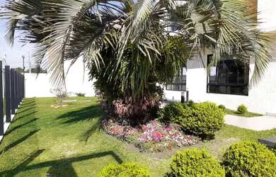 Imagem 7: Apartamentos - Locação - Centro - Cod. 248