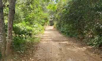 Imagem 7: Vendo dois Terrenos Planos no Ramal da Cacheira do Castanho 1400m2