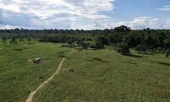 Imagem 6: Sitio 52 Hectares Formado