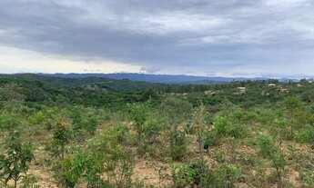Imagem: Terreno urbano 17.000m² boa topografia