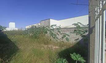 Imagem: Terreno Padrão em São Carlos