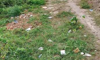 Imagem 3: Casa Casa com 2 dormitórios