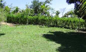 Imagem 2: Oportunidade única terreno 10.000 m² em Coqueiro de Arembepe (luz, agua e escritura