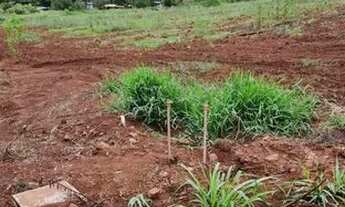 Imagem 5: Chacara 1.000 metros no chão batido. Faço preço no dinheiro e aceito carro no negocio