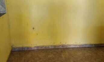 Imagem 6: Aluguel de casa 700,00