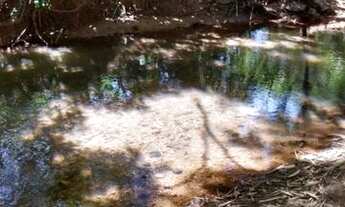 Imagem 7: Terreno 9 ha com casa e um espaço gourmet externo, Jaboticatubas(Temos várias opções)