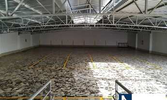 Imagem 2: Apto. Edificio Tilias