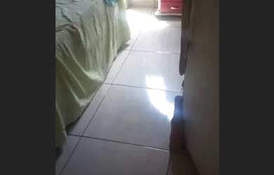 Imagem 5: Londrina Casa quitada 90 metros num terreno 600 metros na cidade de Pérola no Pr ótima loc