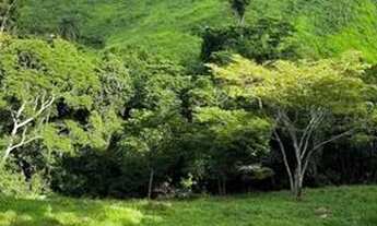 Imagem 3: Sítio Chácara com venda por R$400.000