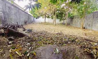 Imagem 5: Terreno Comercial 300m2. Parque 10