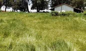 Imagem: Ótima oportunidade chácara 5000² casa