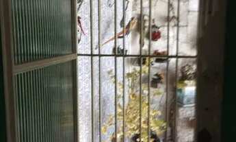 Imagem 3: SOBRADO - SUMAREZINHO - SP