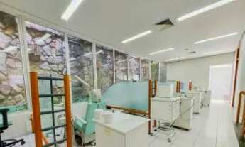 Imagem 6: Casa comercial em excelente localização