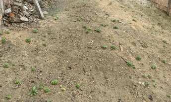 Imagem 5: Vende-se ou troca por carro ou moto com volta para mim