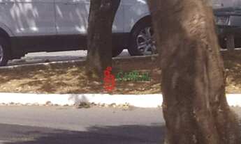 Imagem 3: Casa com 2 dormitórios para alugar por R$ 1.200/mês - Jardim Presidente Dutra - Guarulhos