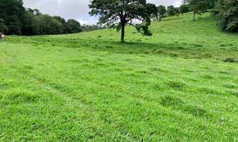 Imagem 2: PA - Vende-se terreno com ótima topografia!!!