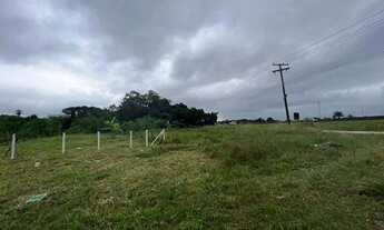 Imagem 3: Terreno para venda tem 125 metros quadrados em Jardim Regina - Itanhaém - SP