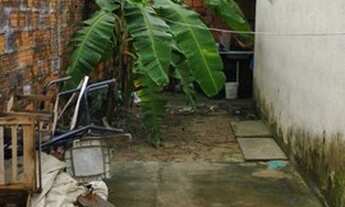 Imagem 3: Vendo uma casa nova terra