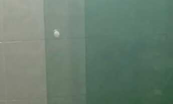 Imagem 5: Alugo casa 1 quarto