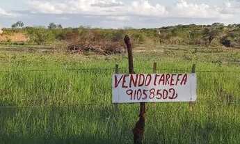 Imagem 2: Tarefas de terra