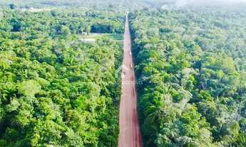 Imagem: Terreno 37000 m2 Ramal Ponte Preta Iranduba