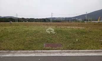 Imagem 6: Terreno 450m2 Real Park Novo Norte