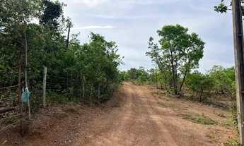 Imagem 5: Chácara 1000m², 300 metros da Rodovia, Energia, Arborizada, Dentro de Aragoiânia