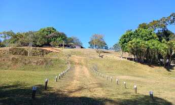 Imagem 6: Terreno urbana, área comercial na BR153 Jaiara/Anápolis