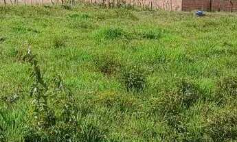 Imagem 4: Vendo excelente Fazenda em inhambupe