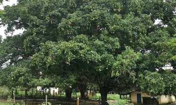 Imagem 3: Fazenda com 3 dormitórios à venda, 484000 m² por R$ 1.300.000,00 - Curvelo - Curvelo/MG