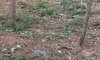 Imagem 2: Terreno 10 x40 Terreno / lote com venda por R$50.000