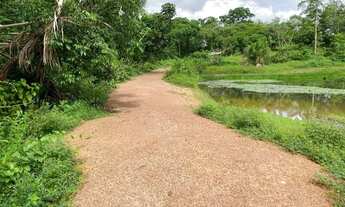 Imagem 2: Fazenda 200 hectares na AM 010 km 195 2.500.000