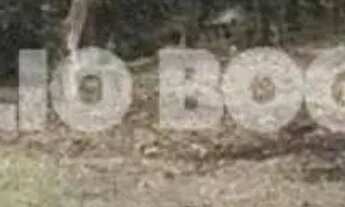 Imagem: Vargem grande estr.rio morto terreno linear